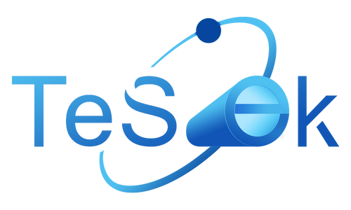 TeSeek Official Store